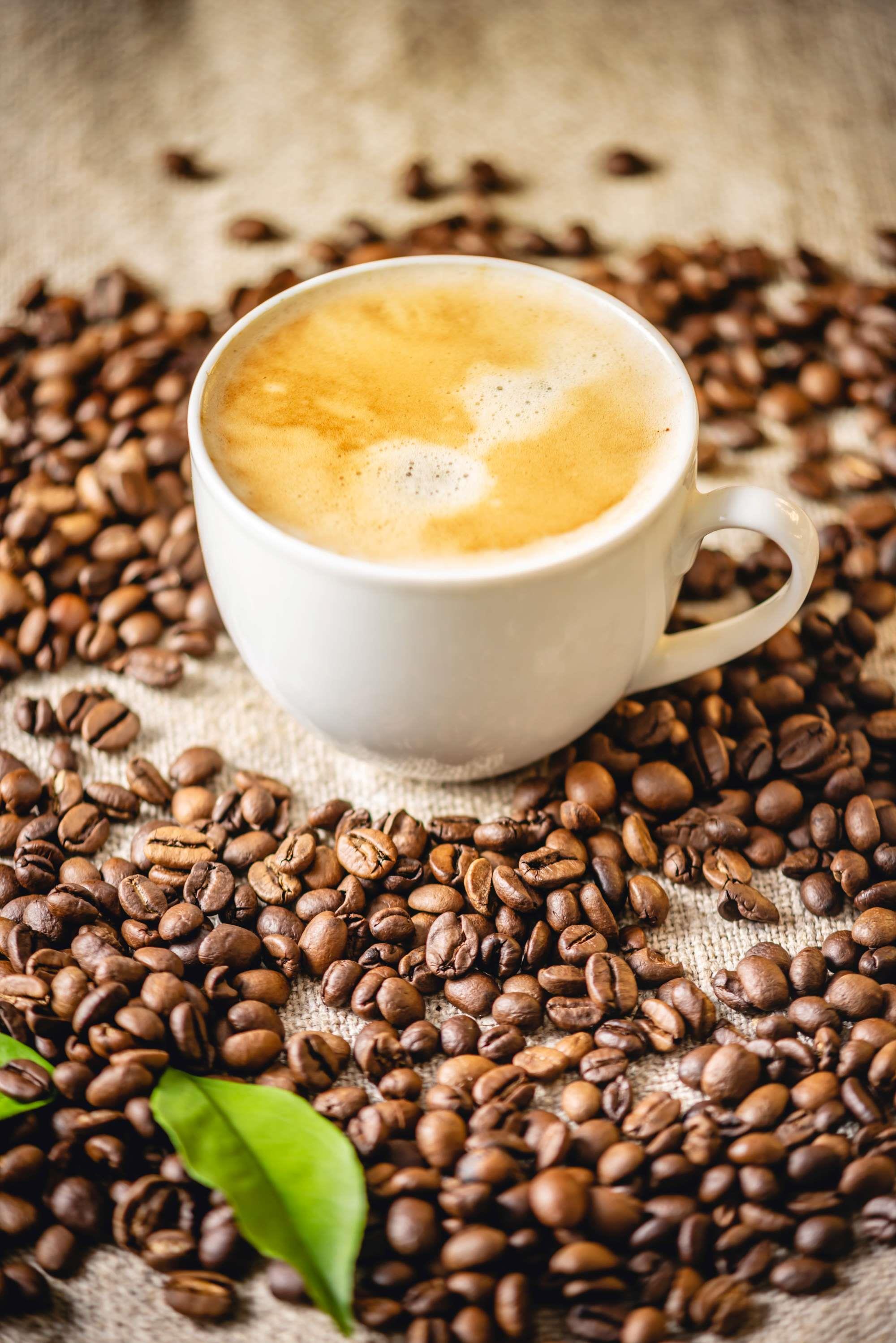 Bio Kaffee-Likör – vollmundiger Kaffeegenuss, Barista create